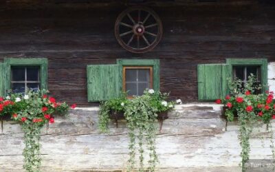 Landwirtschaftliche Nebentätigkeiten und Kleinunternehmergrenze